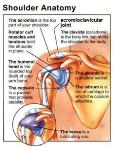 Ac Internal Rotation Acknowledging the Acromioclavicular joint