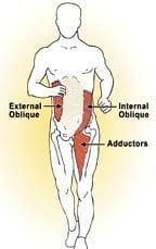 Figure 6: ASSS: Oblique abdominal contraction creates a contralateral fascial pull through the lower torso to the adductors.