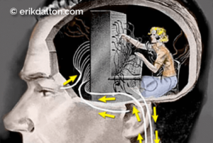 Image 1. The spinal cord as a hardwired switchboard to the brain. Adapted from Dreamstime. A graphic image of the side of a man's head. Where the brain is supposed to be is a woman sitting at a switchboard plugging in her communication wires.