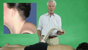 Gain expertise in manual therapy techniques for neck pain