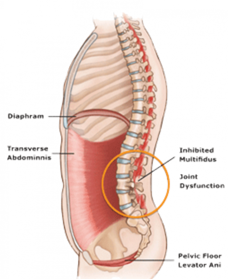 True Grit of Muscle Spasm