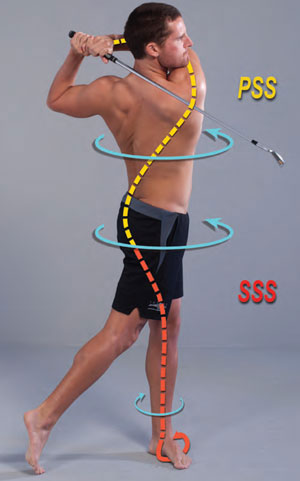 Fig. 3 - Smooth coordinated movement