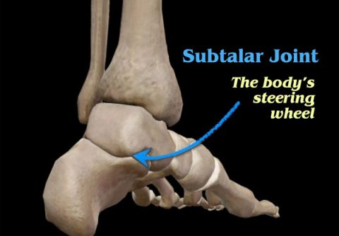 Subtalar Joint image
