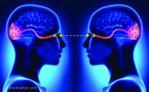 1. Eye gazing creates a “neural duet” between the client and therapist’s brains.