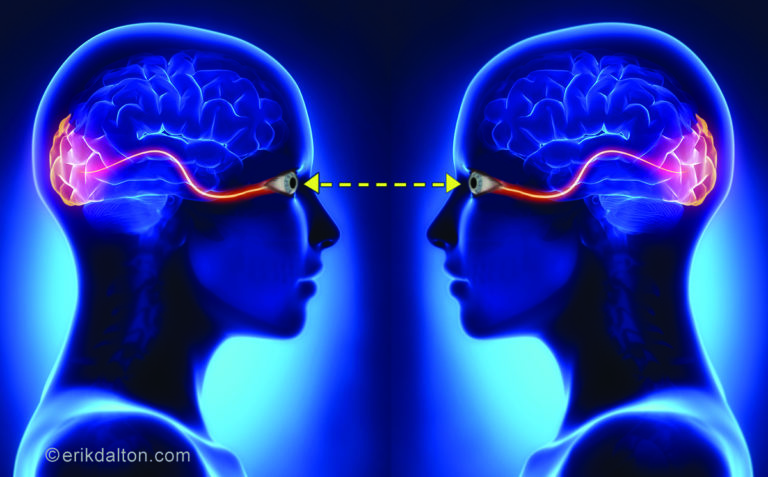 1. Eye gazing creates a “neural duet” between the client and therapist’s brains.